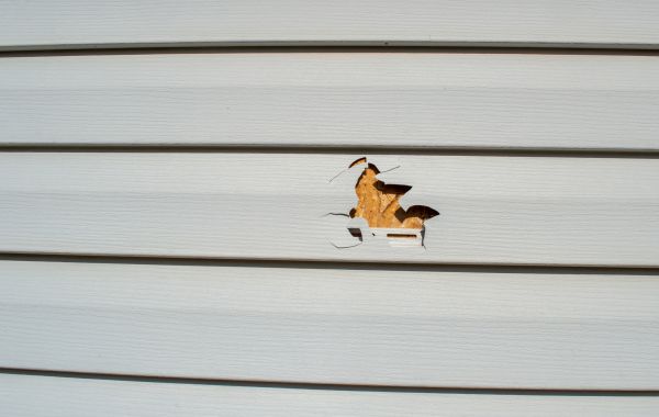 Cost of Siding Hole Repair in Milwaukee