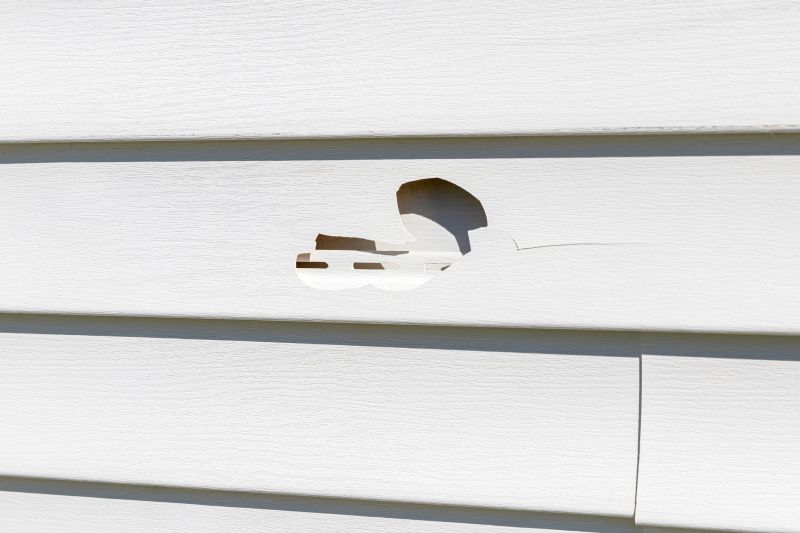 Vinyl Siding Repair - Image 12